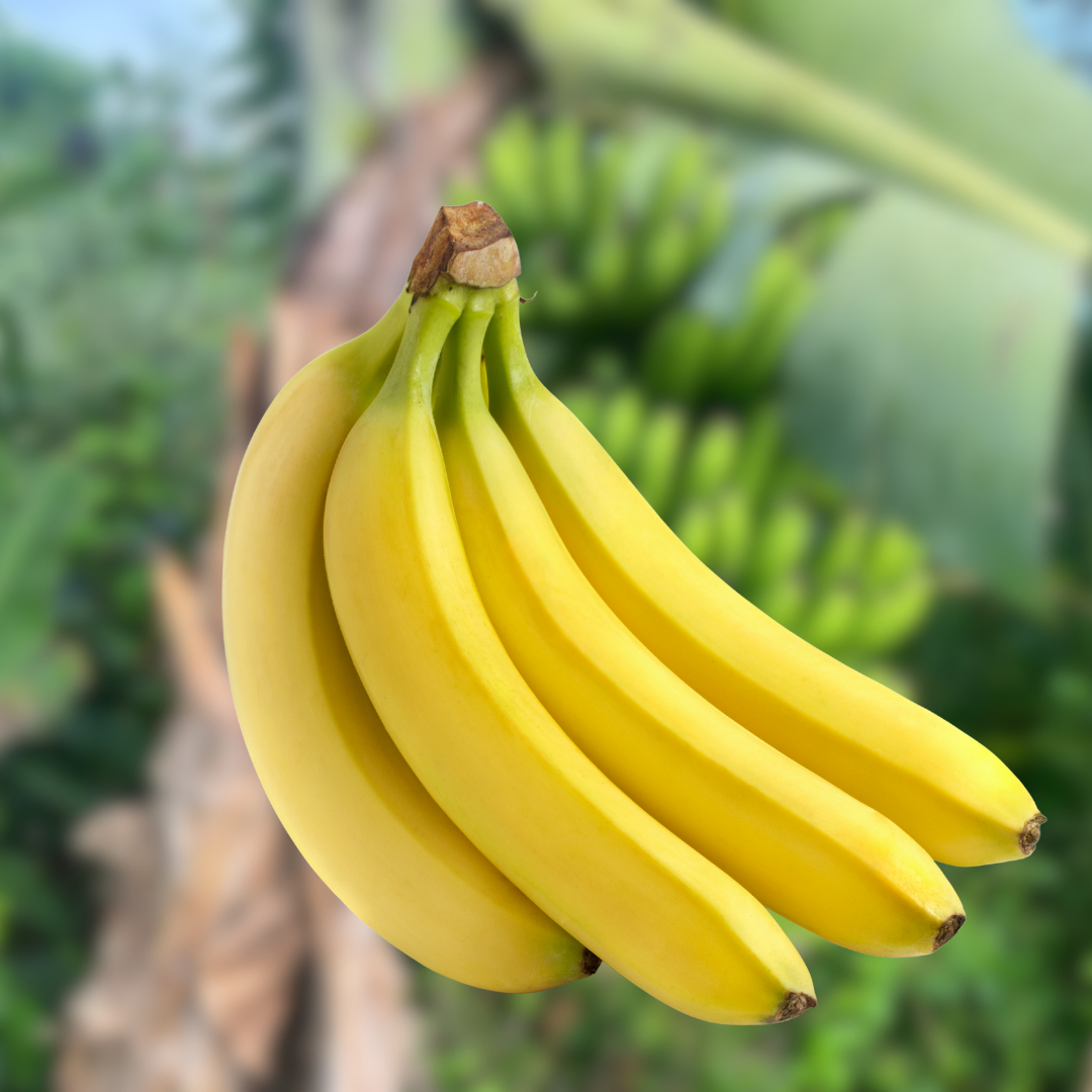 Mal bhog kol (মাল ভোগ ক’ল)